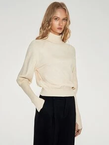 ATUI Studio Elegant Minimalist Solid Color Turtleneck Sweater, Autumn/Winter Office Beige - Apricot - View 2