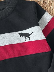 SHEIN 小男孩休閒恐龍印花三色拼接套頭運動衫，柔軟親膚面料，適合春秋冬季日常穿著與運動 - 白色 - 查看 7