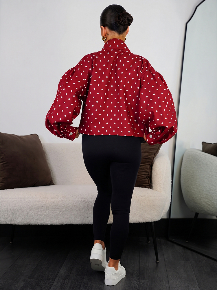 SAYEHFBABY Red And White Polka Dot Women's Print Zipper Front Stand Collar Jacket Everyday Autumn 70s Retro - Red - View 2