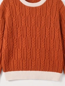 Linhara Brightening Orange Cable Knit Cable Rope Sweater Women Round Neck Pullover Knit Top - Orange - View 6