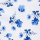 Blue and White