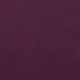 Bold Plum