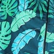 Teal Blue