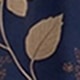 彩色