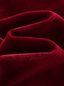 SHEIN 2pcs/Set Young Boy Green Velvet Blazer Jacket & Black Pants Outfit,Gentleman Suit For Summer,Traditional,Wedding,Christening,Pageboy,Ring Boy,Festival - Burgundy - View 4