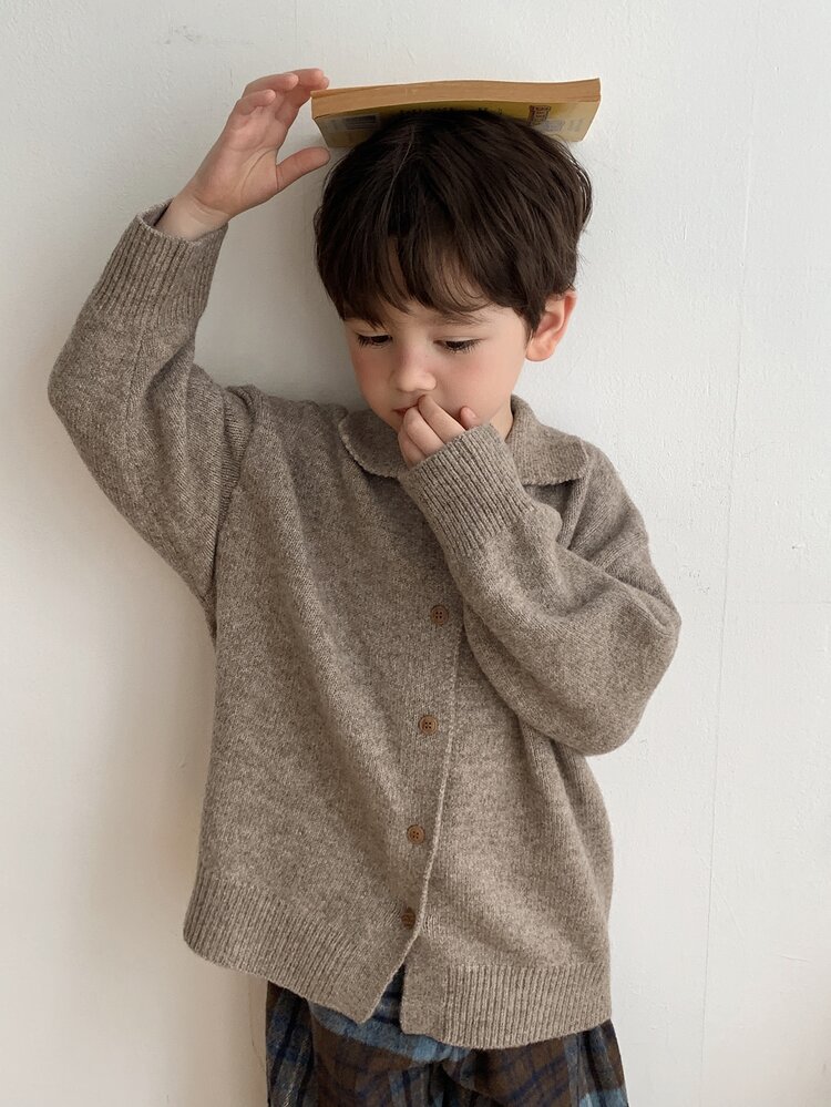 Dazy Kids 男童厚針織開襟毛衣，長袖，翻領，休閒基本款，秋冬季 - 棕色 - 查看 7