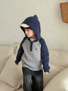 DAZY Baby Boys Raglan Sleeve Zip Half-Open Hooded Long Sleeve Sweater - Grey - View 5