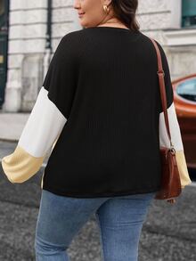 SHEIN LUNE Plus Size Casual Traditional Contrast Color Round Neck Lantern Sleeve Sweatshirt, Autumn Plus Size Fall Clothes Formal Weekend White - Multicolor - View 2