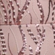 Dusty Pink