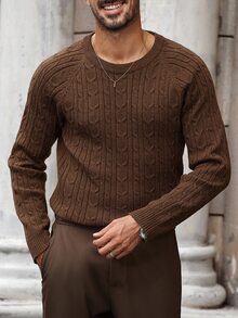 Manfinity Bizformal Men's Casual Cable Pattern Round Neck Raglan Sleeve Sweater, Autumn - Multicolor - View 3