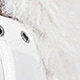 أبيض
