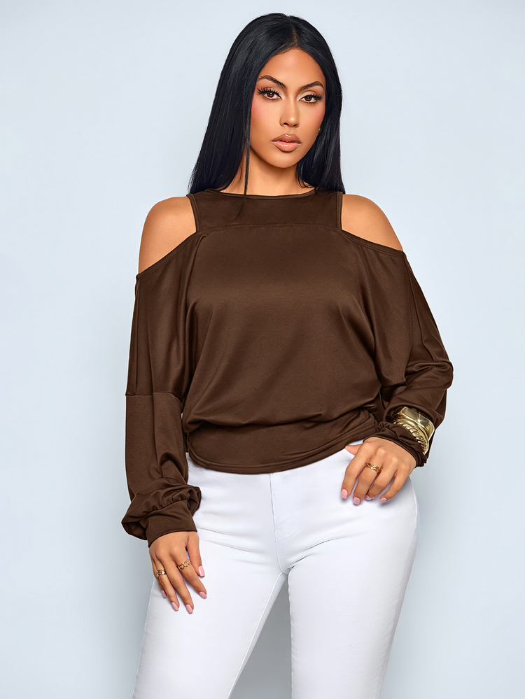 SOLERSUN Women Chocolate Brown Sheer Mesh Yoke Cold-Shoulder Sweatshirt, Long Sleeve Relaxed Fit Elastic Hem Casual Going-Out Pullover - Brown - View 4