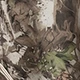 متعدد الألوان