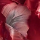 深紅色