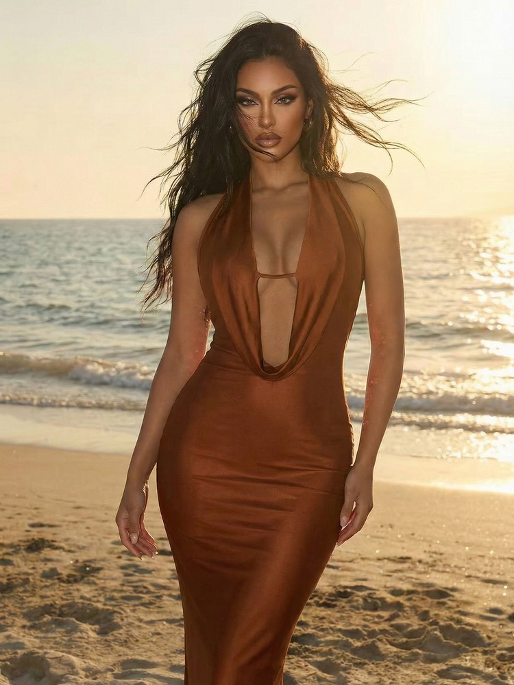 Sirith 1pc Women's Solid Color Deep V Neck Backless Fitted Long Dress Maxi Women Outfit - Brown - View 3