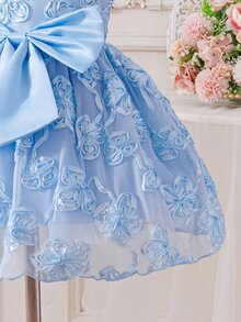 SHEIN Glamorique Kids 女嬰公主洋裝，無袖，3D刺繡網紗，大蝴蝶設計，生日派對、婚禮度假洋裝，聖誕節，優雅奢華可愛 - 藍色 - 查看 9