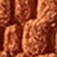 Coral Orange