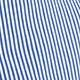 Blue and White