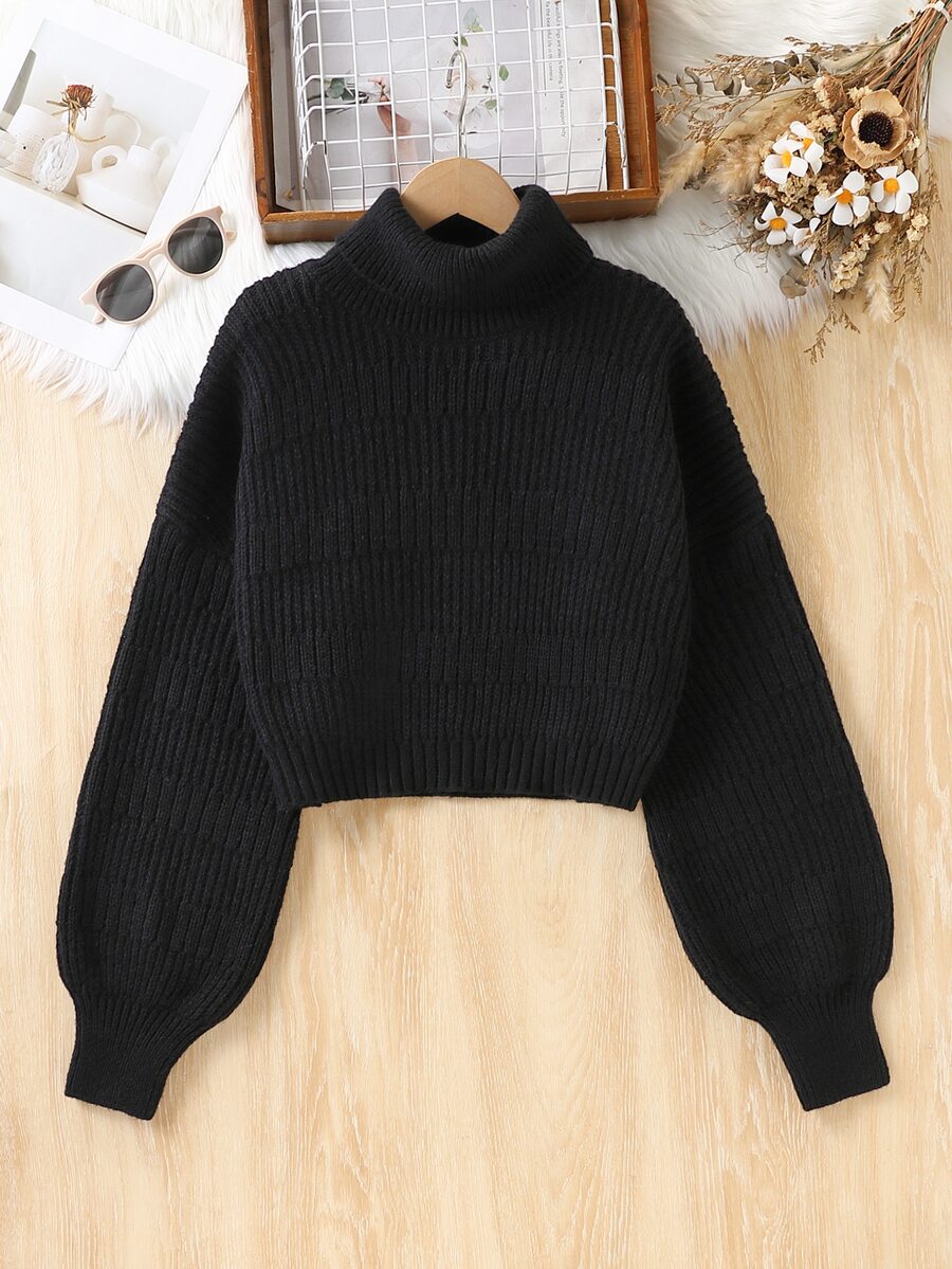 Solid Color Casual Lazy Pullover Sweater Women Round Neck Autumn/Winter New Loose Fit Versatile Knit Crop Top - Black - View 1