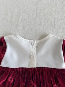SHEIN 1件女嬰幼兒女童天鵝絨公主洋裝 酒紅色花卉荷葉邊蝴蝶結長袖圓領毛絨款 假日秋冬芭蕾復古風 - 酒紅色 - 查看 4