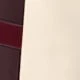 متعدد الألوان