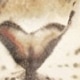 متعدد الألوان