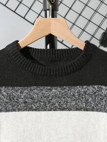 SHEIN Explorewe 青少年男孩黑白條紋針織毛衣，條紋格紋千鳥格圖案，適合秋冬穿著，校園穿搭，柔軟修身，休閒端莊 - 彩色 - 查看 6