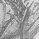 متعدد الألوان