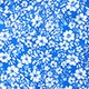 Blue and White