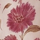 Red Violet