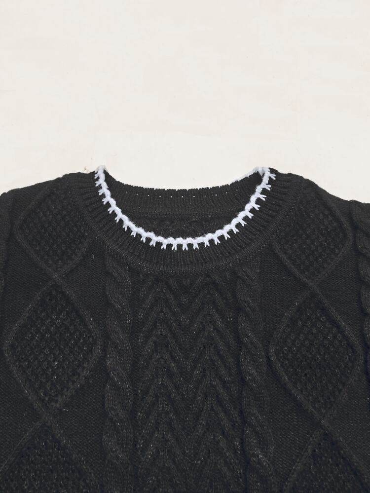 Manfinity Mode Men's Round Neck Long Sleeve Cable Knit Casual Sweater - Black - View 4