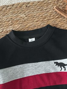 SHEIN Sweatshirt Pullover Patchwork Tiga Warna Motif Dinosaurus Kasual untuk Anak Laki-Laki, Kain Lembut dan Ramah Kulit, Cocok untuk Pakaian Sehari-hari dan Olahraga di Musim Semi, Gugur, dan Musim Dingin - Putih - View 8