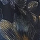 彩色