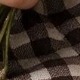 彩色