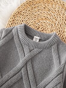 SHEIN Young Boy Solid Color Textured Knit Sweater,Autumn,School Birthday,Back-To-School Casual Everyday Commute Autumn/Winter Kids 3-8 Years Old White - Grey - View 3