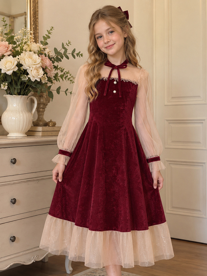 SHEIN Tween Girl Mesh Patchwork Faux Pearl Decor Dress