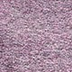 Violet Purple