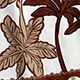 Multicolor