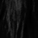 الأسود