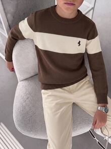 Tween Boys Brown Stripe Casual Preppy Sweater, Versatile Autumn/Winter Essential Layering Piece Long Sleeve Embroidered,Back To School Clothes School - Grey - View 6