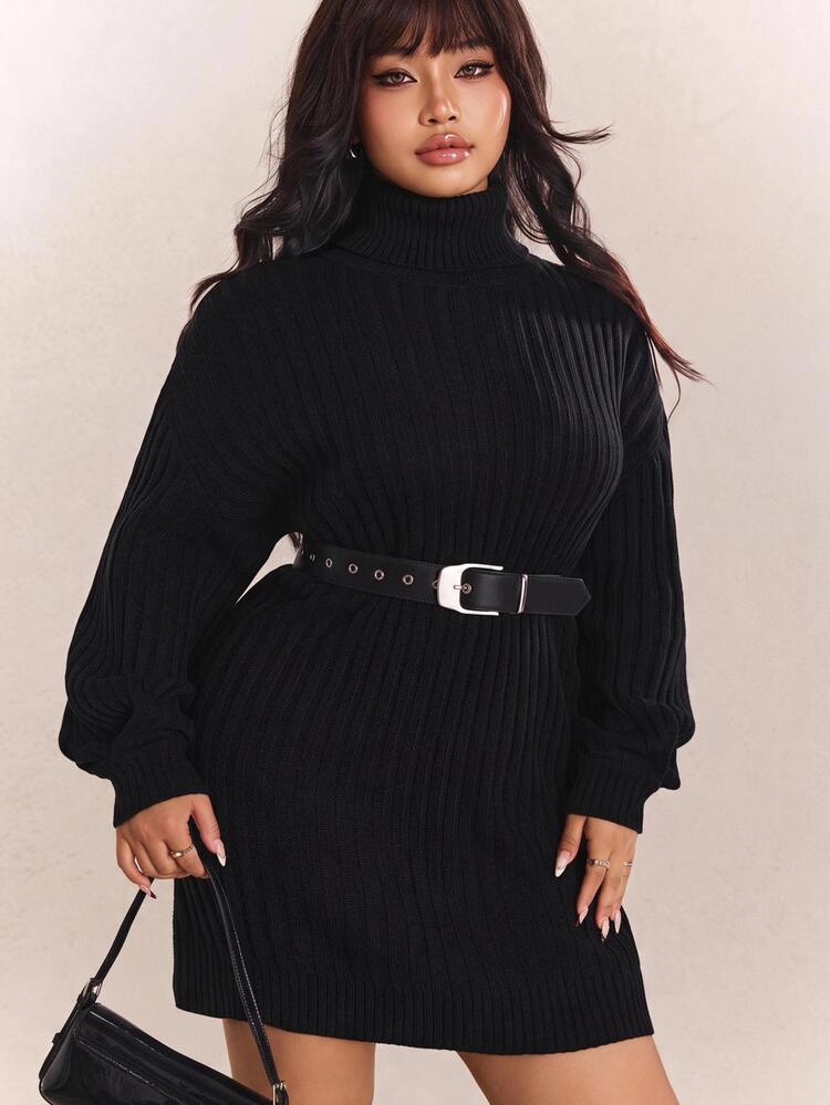 CovetEZ Plus Size Loose Turtleneck Batwing Sleeve Chunky Knit Sweater Dress, Autumn/Winter Fall - Black - View 1
