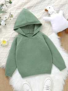 SHEIN 男童純色連帽針織毛衣，簡約V領套頭上衣，舒適適合秋冬，休閒百搭，適用日常穿著、旅行與上學 - 綠色 - 查看 5
