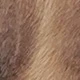 Mocha Brown