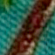 Multicolor