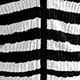 Black and White