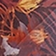 紅木色