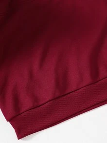 SHEIN Tween Girls Fleece Autumn Clothes Long Sleeve Solid Color 1/4 Zip Placket Loose Sweatshirt Warm Casual Basic Outfit Comfortable School Burgundy Red - Burgundy - View 6