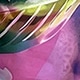 Multicolor