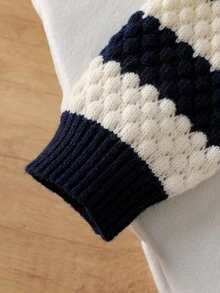 SHEIN Playful Pals Young Boys Long Sleeve Blue & White Striped Colorblock Sweater, Suitable For Spring, Autumn, Winter, Fall/Winter Seasons Pullover - Multicolor - View 6
