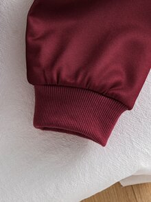 SHEIN Young Boy Color Block Sleeve Half Zip Sweatshirt Jogger Set, 2Pcs Stand Collar Fleece Tracksuit, Toddler Casual Daily Outfit,Fall,Autumn&Winter,School - Burgundy - View 13